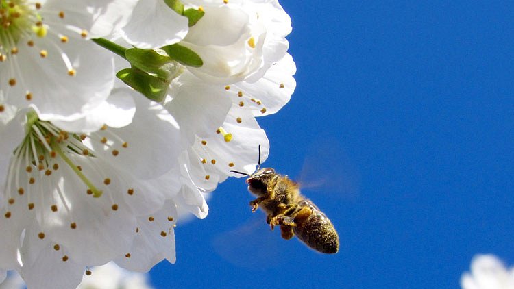 Busy Doesn't Always Work