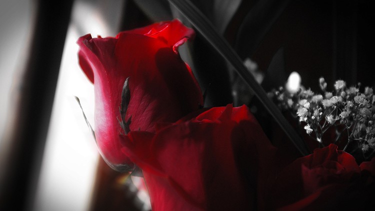 Go Back: to the last thing God told you to do.