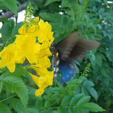 Life is Hard, I take pretty pictures