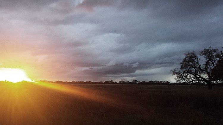 Cycles in the Seasons