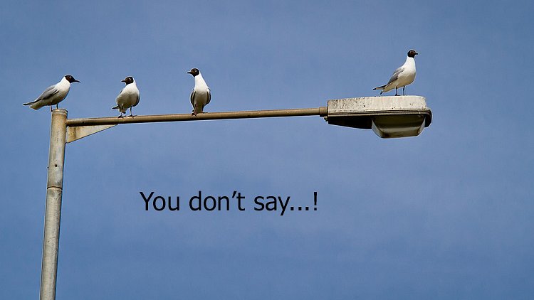 Stretched Between Two Tribes